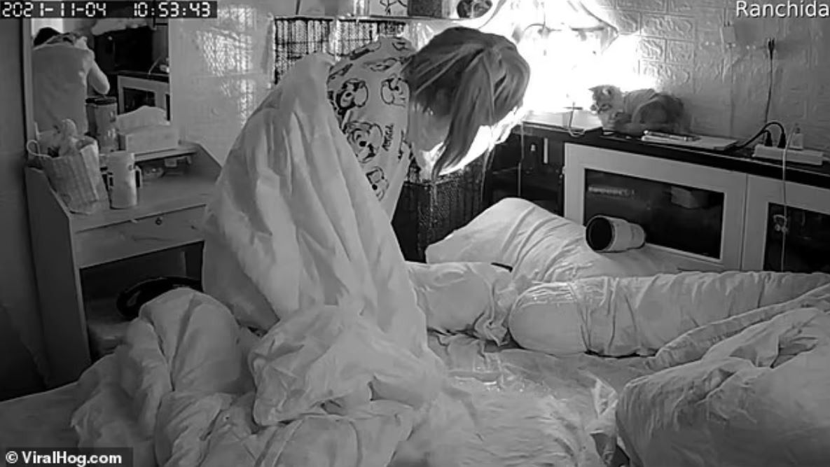 Camera giau kin ghi lai canh thu cung 