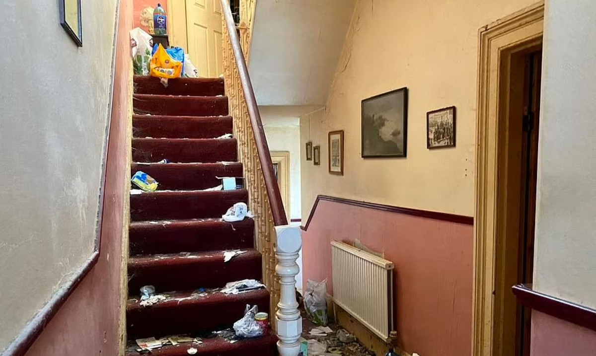 Anh: Soc voi can ho 3 phong ngu phu rac ngap tan dau goi-Hinh-4