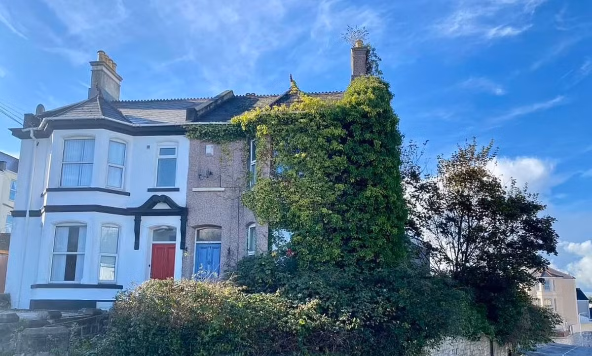 Anh: Soc voi can ho 3 phong ngu phu rac ngap tan dau goi