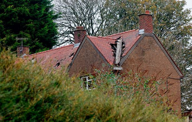 Nguoi dan ong song trong nha rach nat hang thap ky cho... tan the-Hinh-2