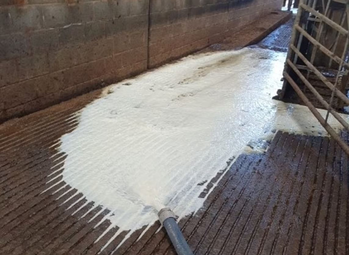 Gay chuoi van tai, nong dan Anh do sua vut di