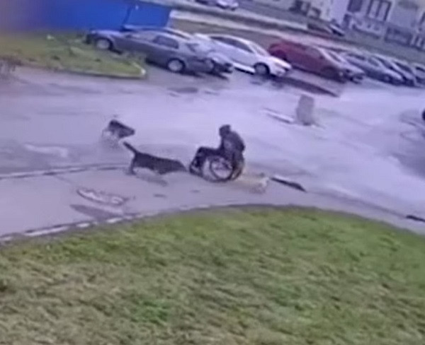 Thanh nien ngoi xe lan “tu chien” voi dan cho hoang