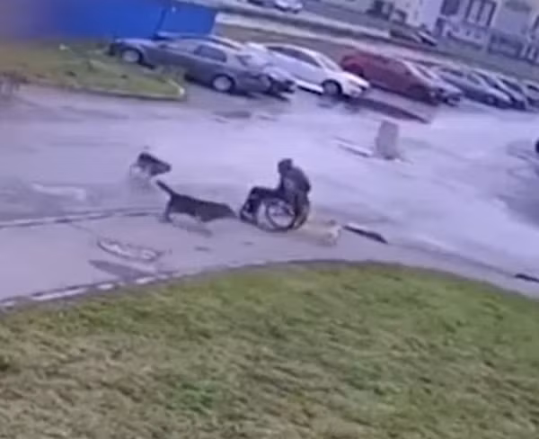 Thanh nien ngoi xe lan “tu chien” voi dan cho hoang