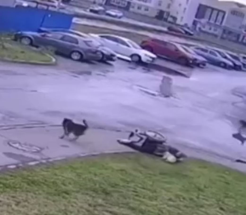 Thanh nien ngoi xe lan “tu chien” voi dan cho hoang-Hinh-2