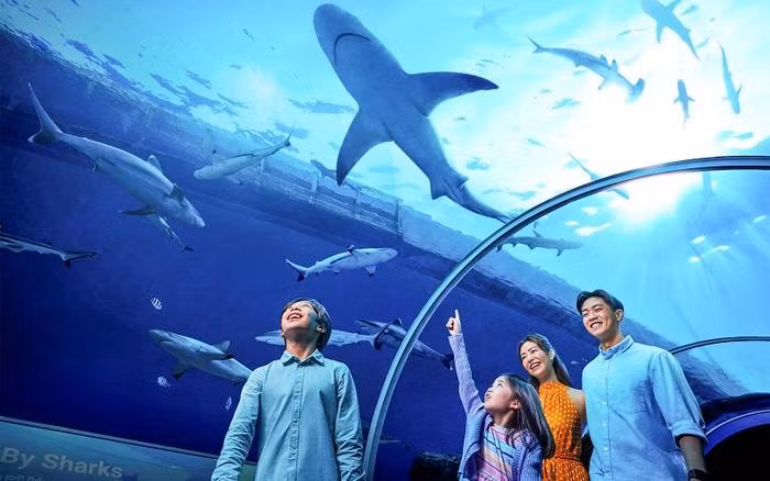 Can luu y nhung gi khi dua con di du lich Singapore dip he?