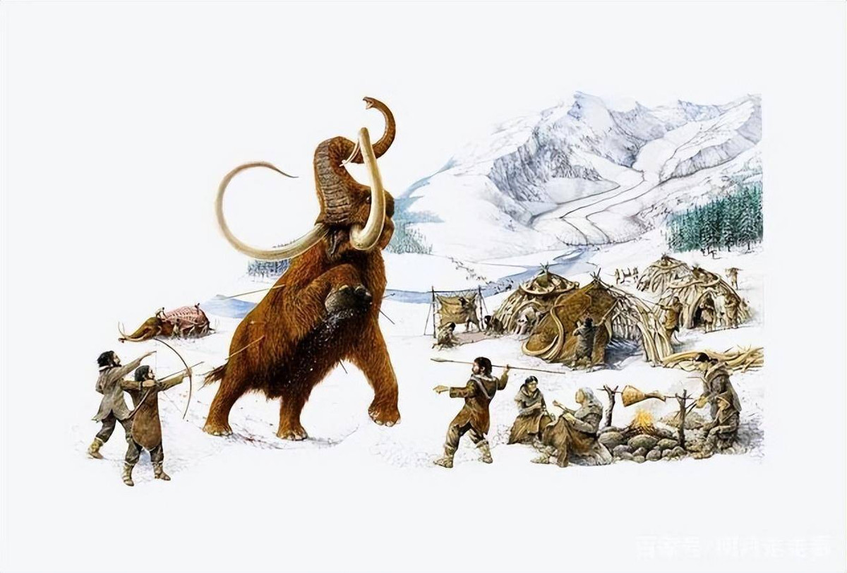 Loai nguoi an thit dong vat an co nhieu hon dong vat an thit?-Hinh-2