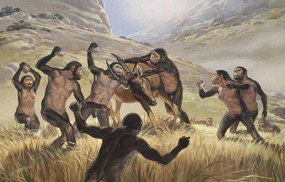 Loai nguoi an thit dong vat an co nhieu hon dong vat an thit?-Hinh-3