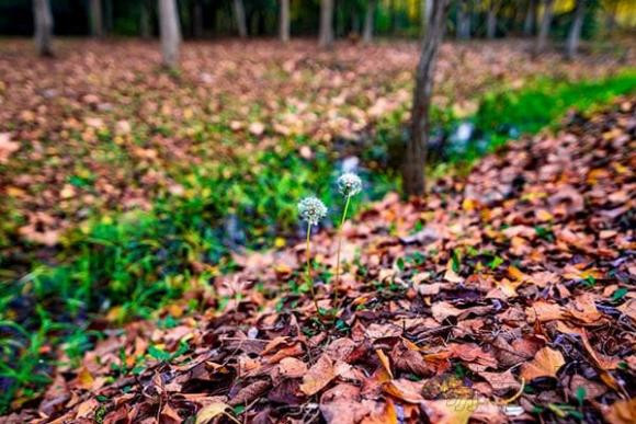 Những điều cấm kỵ trong ngày Hạ chí Nhung dieu cam ky trong ngay Ha chi