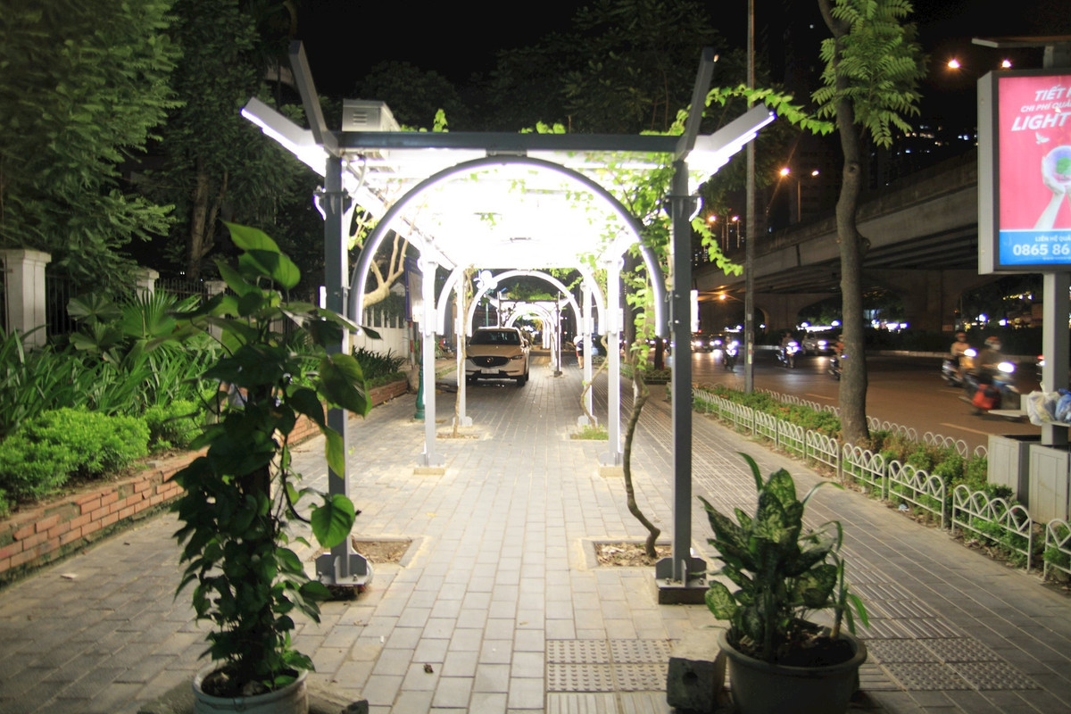 Nhung gian hoa giay lung linh trong dem o Thu do