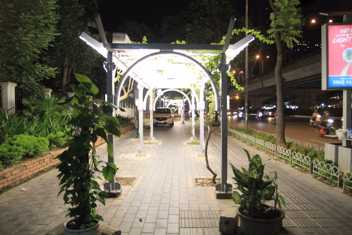 Những giàn hoa giấy lung linh trong đêm ở Thủ đô Nhung gian hoa giay lung linh trong dem o Thu do