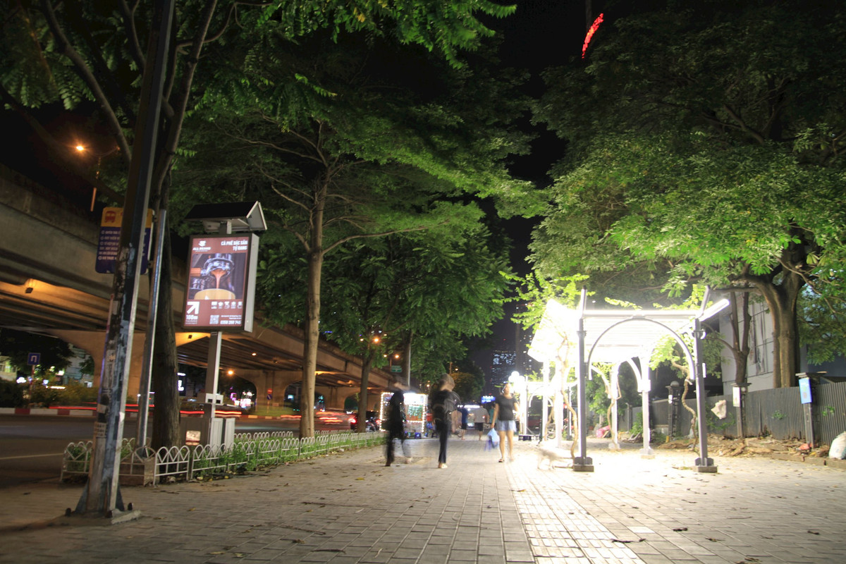 Nhung gian hoa giay lung linh trong dem o Thu do-Hinh-5