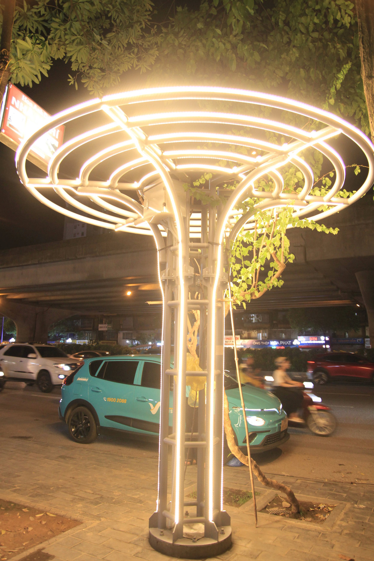 Nhung gian hoa giay lung linh trong dem o Thu do-Hinh-6