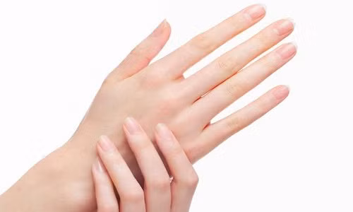 Bàn tay vừa phải, không to, không nhỏ là người hiểu biết và rất khéo léo trong cách ứng xử với mọi người. Nếu biết chịu đựng, họ sẽ thành công.