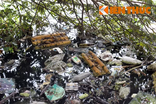 Nhiều người dân còn cho biết, họ phải sống chung với muỗi 24/24 (ở nhà, đi tập thể dục, đi ngủ...). Còn muỗi tập trung nhiều nhất là vào khoảng từ 16h cho đến đêm.