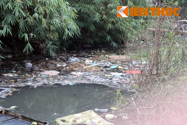 Bà Trần Thị Dật, Tổ trưởng dân phố 32, cụm 5, phường Tứ Liên, Hà Nội cho biết: "Nguyên nhân dẫn đến nạn muỗi khủng khiếp như vậy là do lượng lớn rác thải, bẩn thỉu đổ xuống con kênh nằm giáp ranh giữa phường Quảng An và phường Tứ Liên dài khoảng 2km. Ngoài ra, còn một lượng lớn rác thải từ chợ tạm đổ xuống đầm Tứ Liên gây tù đọng... Từ đó trở thành nơi "lý tưởng" của muỗi. Khi mưa phùn, thời tiết nồm, ẩm ướt là thời điểm thích hợp để muỗi sinh sôi, hoạt động. Cứ như vậy, nhiều này chúng lần lượt kéo nhau thành đàn rất đông bay vào nhà dân ẩn nấp".