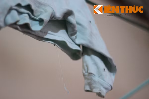 Bất cứ đồ dùng, vật dụng hay nơi nào trong nhà dân có chỗ "ẩn nấp" của trăm, nghìn con muỗi. Muỗi đang trở thành nỗi ám ảnh thường xuyên đối với hàng nghìn người dân sống nơi đây.