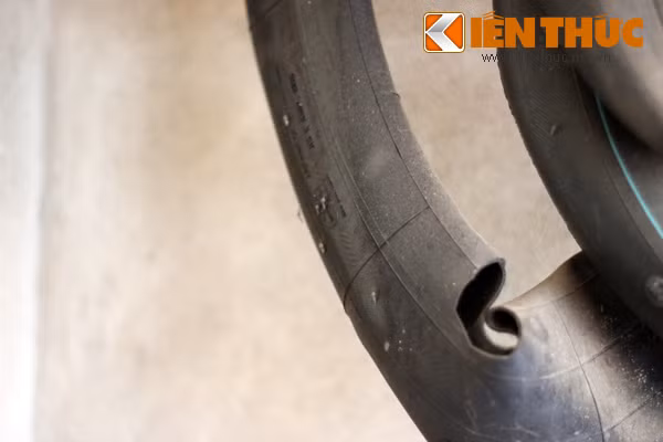 Những con muỗi rất to, đậu lên khắp các vật dụng của người dân phường Tứ Liên.