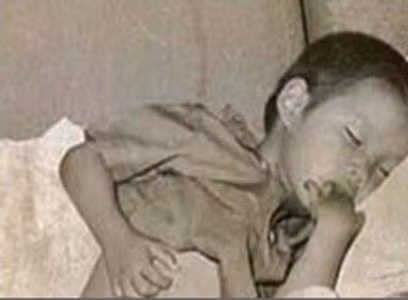 Le Than, cậu bé ngồi cùng ghế với Viktoria Cowley trên chuyến bay từ Sài Gòn tới London, Anh năm 1975, đã trở thành chuyên gia công nghệ thông tin ở xứ Wales.