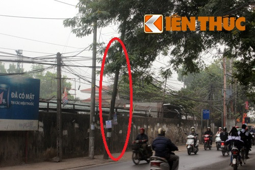 Cột điện nghiêng ngả ra phía đường khiến nhiều người đi qua nơm nớp lo sợ.