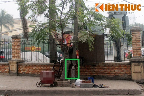 Trước sự phản ánh của người dân, PV đã tìm đến địa điểm trên để tìm hiểu. Theo ghi nhận của PV, thực trạng cột điện bị gãy, nghiêng đang diễn ra trên đoạn đường đúng như lời của những người dân phản ánh.