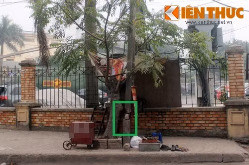 Trước sự phản ánh của người dân, PV đã tìm đến địa điểm trên để tìm hiểu. Theo ghi nhận của PV, thực trạng cột điện bị gãy, nghiêng đang diễn ra trên đoạn đường đúng như lời của những người dân phản ánh.