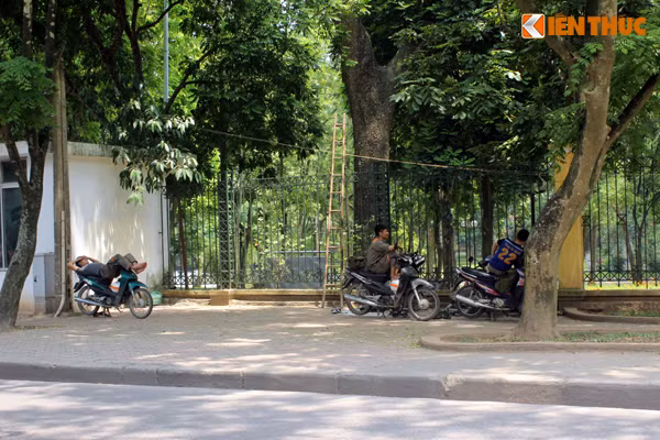 Một nhóm thợ điện trẻ vật vờ, mệt nhọc dưới những hàng cây tại công viên Bách Thảo.