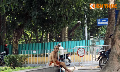 Cụ ông "thoát y" với ly trà đá dưới tán cây cổ thụ trên phố Phan Đình Phùng.