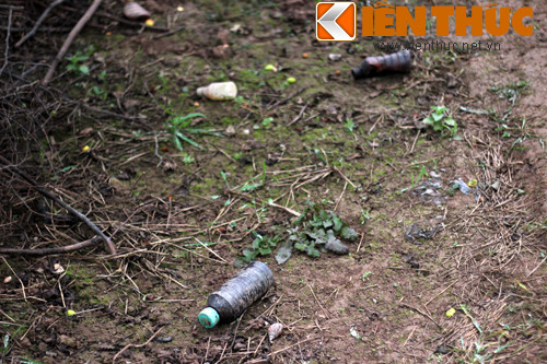 Vuòn cai Gia Lam dày vỏ thuóc sau: Chuyen gia nói gì?-Hinh-4