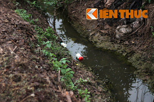 Vuòn cai Gia Lam dày vỏ thuóc sau: Chuyen gia nói gì?-Hinh-3