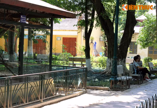 Tương tự, ở một góc khác ngay cạnh chuồng sóc bụng đỏ, phân của sóc cùng mùi thức ăn rơi vãi xuống sàn chuồng bốc mùi hôi khủng khiếp, nhất là trong không khí nóng nực của thời tiết rất khó chịu, nhưng cặp đôi này vẫn ngồi tâm sự với nhau rất tình cảm.