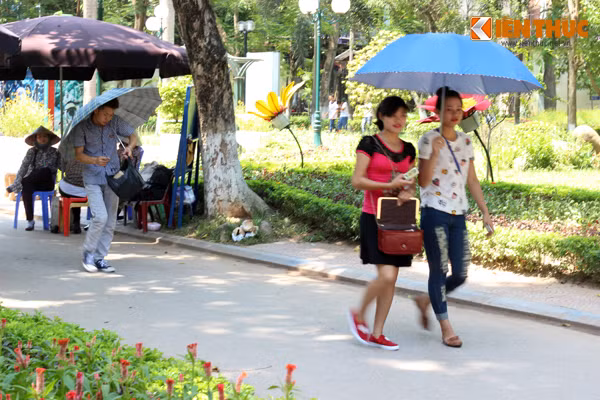 Theo ghi nhận của phóng viên Kiến Thức, vào thời điểm giữa trưa những ngày Hà Nội nắng nóng như hiện nay, rất nhiều nam, nữ thanh niên kéo nhau vào vườn thú Thủ Lệ tìm gió mát.