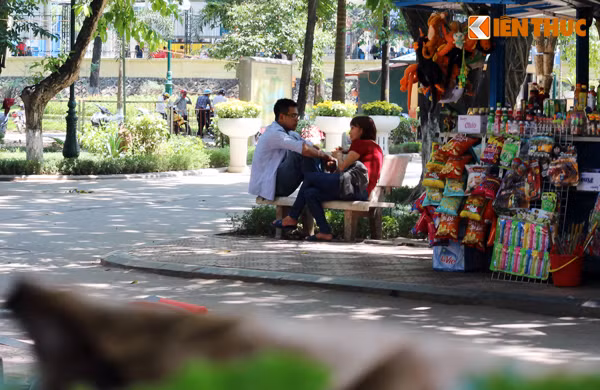 Các ghế đá dưới bóng cây đều có các cặp đôi ngồi tránh nắng nóng.