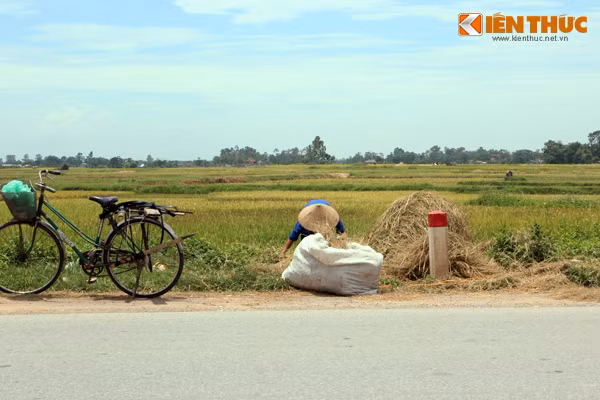Thu hoạch lúa xong, người dân phơi khô rơm rạ sau đó đem một ít về nhà sử dụng, còn phần lớn sẽ đốt tại chỗ.