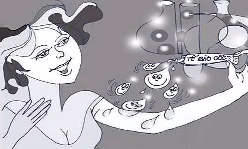 Cục Quản lý Dược, Bộ Y tế mới cấm các cơ sở sản xuất, kinh doanh mỹ phẩm sản xuất và kinh doanh các mỹ phẩm có thành phần nguồn gốc từ con người. Ảnh minh họa.