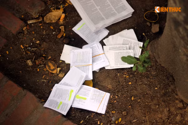 Nhiều phao thi bị thí sinh vứt ở một gốc cây ngay trước cổng trường ĐH Bách khoa Hà Nội khiến nhiều phụ huynh chứng kiến "tròn xoe mắt".