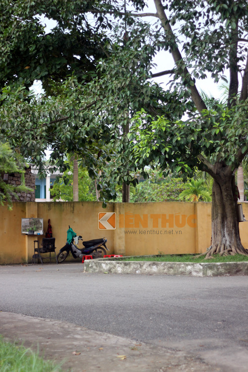 Đoạn đường nơi cô giáo trường tiểu học bị tạt axit. Ảnh: Mạnh Hưng.