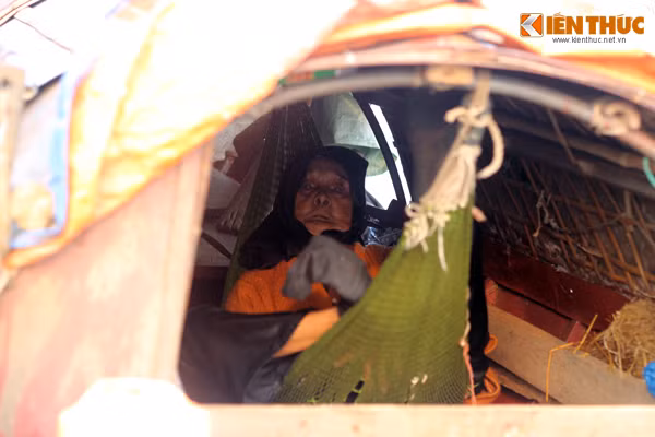 Chiếc thuyền của cụ Vi nằm gần bến phà Đại Tập, nhiều lúc khách đi phà sang sông thấy cụ bà lủi thủi sống một mình, họ thương cảm thường cho 5 đến 10 nghìn đồng, hoặc một số đồ ăn khác.