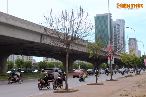 Ghi nhận của PV Kiến Thức, các cây xanh bị chết khô trên đường Phạm Hùng chủ yếu nằm trên đường hướng đi từ siêu thị Big C về phía bến xe Mỹ Đình (Từ Liêm, Hà Nội).
