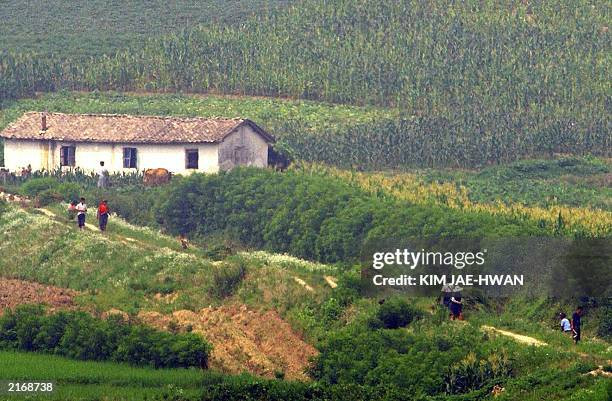 Bức ảnh này chụp người dân đi bộ dọc theo một con đường nông thôn ở phía bắc khu phi quân sự gần làng đình chiến Panmunjom, ngày 16/7/2003.