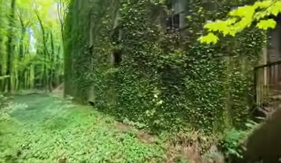 Năm 1952, nơi đây đã trải qua quá trình chuyển đổi cuối cùng, tổ chức một chương trình thử nghiệm điều trị cho trẻ vị thành niên nghiện ma túy.