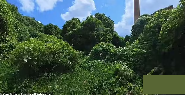 "Việc khám phá hòn đảo và những tòa nhà ở đó không hề dễ dàng, nhiều cây thường xuân ở khắp mọi nơi", YouTuber nói thêm.