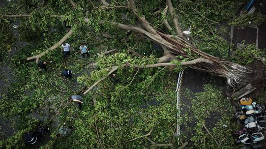 Bão Yagi quét qua tỉnh Hải Nam hôm 6/9 đã khiến gần 100 người thương vong và gây thiệt hại tài sản ước tính lên đến 8,5 tỷ USD, tính đến ngày 8/9. Riêng ngành nông nghiệp, chăn nuôi và thủy sản của Hải Nam đã thiệt hại gần 1,7 tỷ USD.