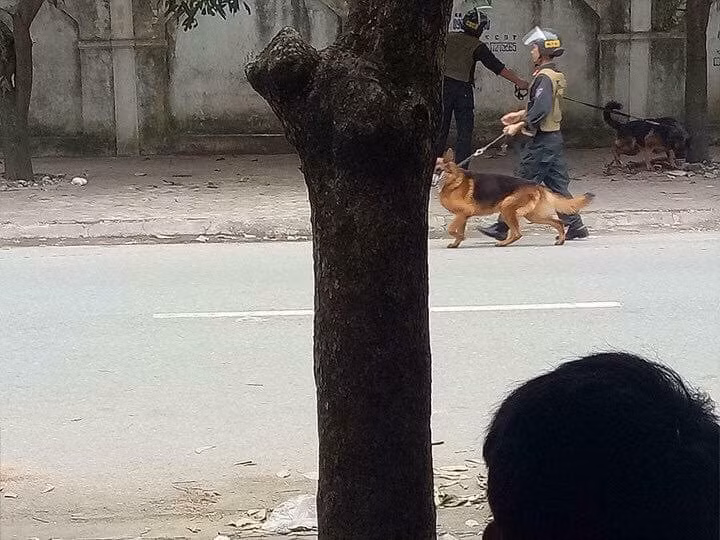 Chó nghiệp vụ cũng được đưa đến hiện trường tham gia vây bắt đối tượng.