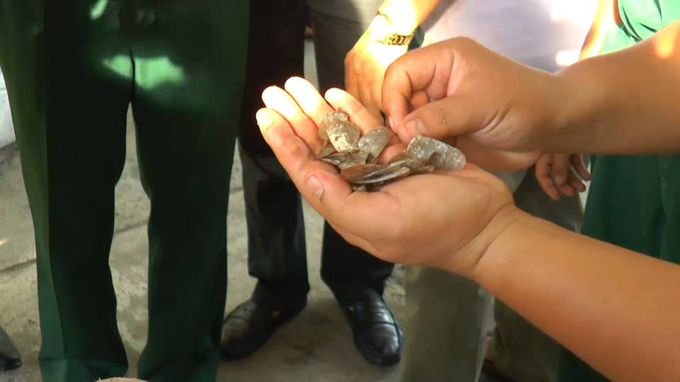 Phat hien 10 tan nga voi, vay te te 