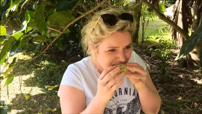 Trước đây, chúng mọc hoang ở bờ sông, bờ suối, thậm chí là các kênh, rạch.