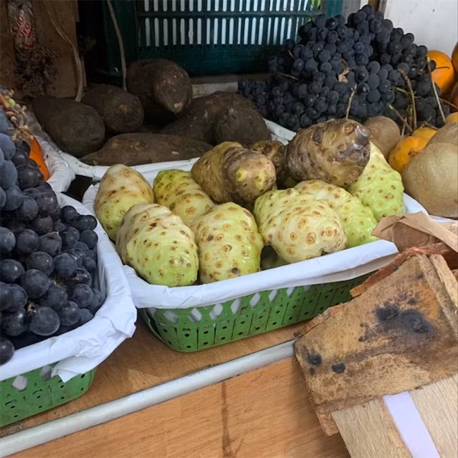 Trước đây quả nhàu mọc khắp nơi thì ít người để ý, nay để có bán nhiều người thậm chí mất công đi tìm.