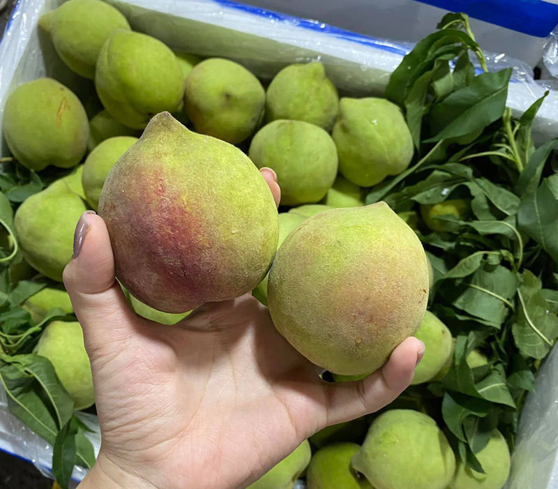 Dan buon tiet lo soc ve dao mo qua dang ban tran cho Viet-Hinh-2