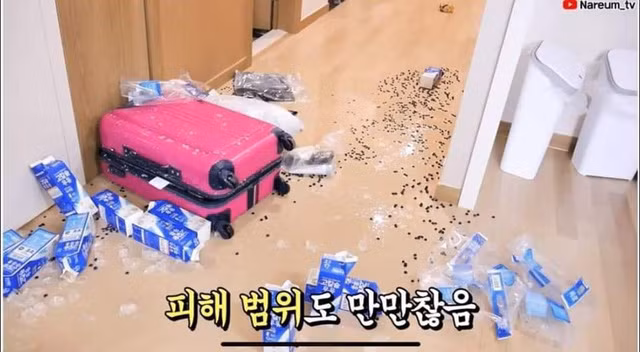 Hoc ba Tan Vlog lam tra sua khong lo, nu Youtuber nhan ket dang-Hinh-5