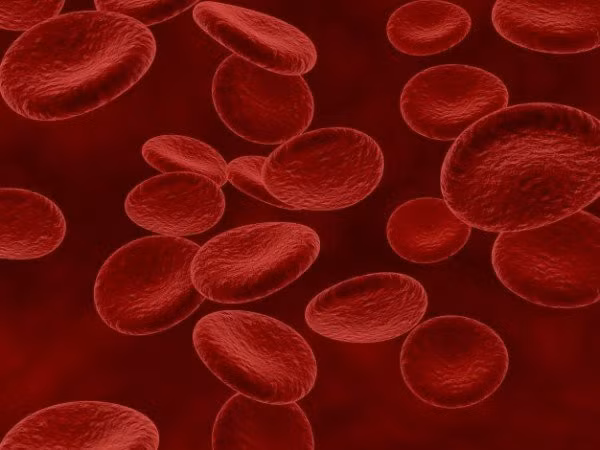  Kích thích sản sinh tế bào máu: Hiến máu kích thích sản sinh các tế bào máu mới để bù lại cho lượng máu bị lấy đi và điều này giúp duy trì sức khỏe toàn diện.