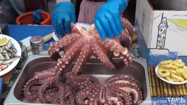 Bạch tuộc từ lâu đã được xem là loại hải sản ngon được nhiều người ưa thích. Tuy nhiên, chúng có tới 300 loài khác nhau.